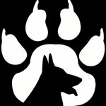 Animal Rescue Nikola